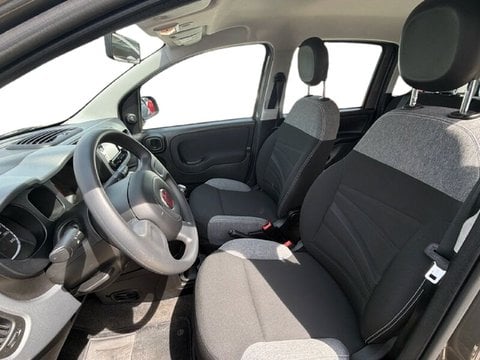 Auto Usate A Teramo | Fiat Panda Panda 1.0 Firefly Hybrid S&S 70Cv