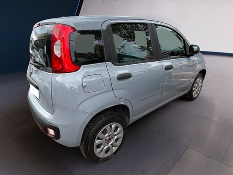 Auto Usate A Teramo | Fiat Panda 0.9 Twin Air Turbo Natural Power 84Cv Benzina/Metano