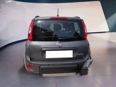 Auto Usate A Teramo | Fiat Panda Panda 1.0 Firefly Hybrid S&S 70Cv