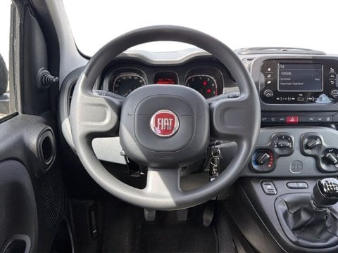 Auto Usate A Teramo | Fiat Panda Panda 1.0 Firefly Hybrid S&S 70Cv