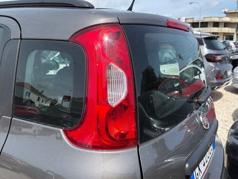 Auto Usate A Teramo | Fiat Panda Panda 1.0 Firefly Hybrid S&S 70Cv