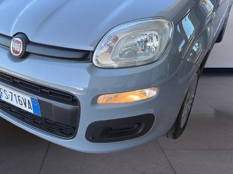 Auto Usate A Teramo | Fiat Panda Panda 1.2 Lounge S&S 69Cv My19 Benzina/Metano