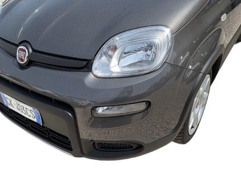 Auto Usate A Teramo | Fiat Panda Panda 1.0 Firefly Hybrid S&S 70Cv