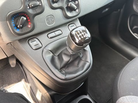 Auto Usate A Teramo | Fiat Panda Panda 1.0 Firefly Hybrid S&S 70Cv