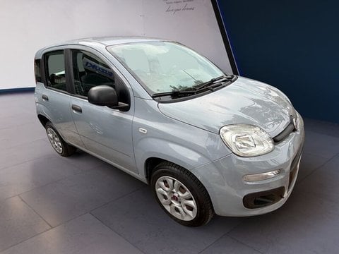 Auto Usate A Teramo | Fiat Panda 0.9 Twin Air Turbo Natural Power 84Cv Benzina/Metano