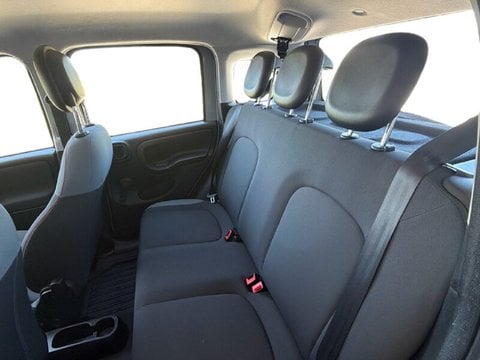 Auto Usate A Teramo | Fiat Panda Panda 1.2 Lounge S&S 69Cv My19 Benzina/Metano
