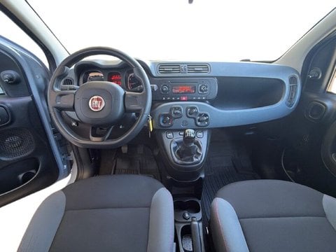 Auto Usate A Teramo | Fiat Panda Panda 1.2 Lounge S&S 69Cv My19 Benzina/Metano