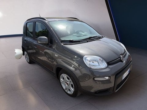 Auto Usate A Teramo | Fiat Panda Panda 1.0 Firefly Hybrid S&S 70Cv