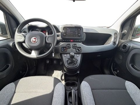 Auto Usate A Teramo | Fiat Panda Panda 1.0 Firefly Hybrid S&S 70Cv