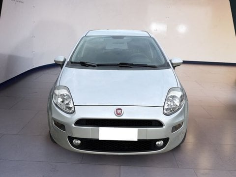 Auto Usate A Teramo | Fiat Punto Punto 5P 1.4 Easypower Lounge Gpl E6