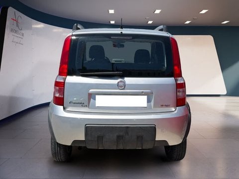 Auto Usate A Teramo | Fiat Panda Panda 1.3 Mjt 16V 4X4