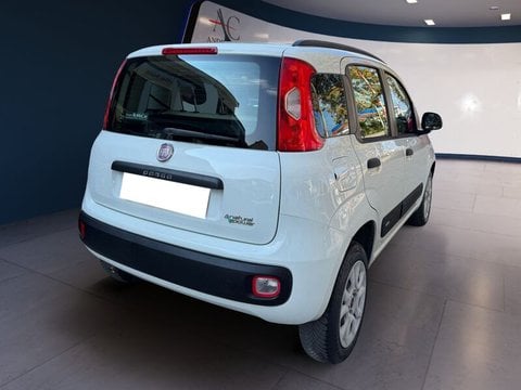 Auto Usate A Teramo | Fiat Panda Panda 0.9 T.air T. Natural Power Young 80Cv