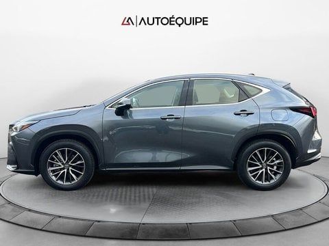 Auto Usate A Roma | Lexus Nx Ii 2022 350H 2.5 Business 2Wd 244Cv E-Cvt