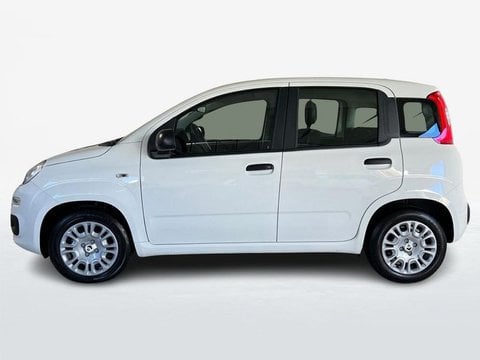 Auto Usate A Roma | Fiat Pandina Iii 2024 1.0 Firefly Hybrid S&S 70Cv