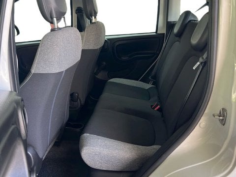 Auto Usate A Roma | Fiat Panda Iii 2021 1.0 Firefly Hybrid S&S 70Cv 5P.ti