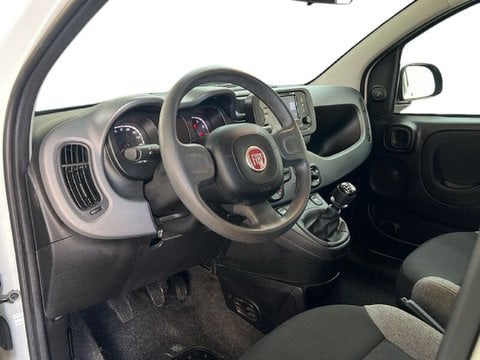 Auto Usate A Roma | Fiat Panda Iii 2021 1.0 Firefly Hybrid S&S 70Cv 5P.ti