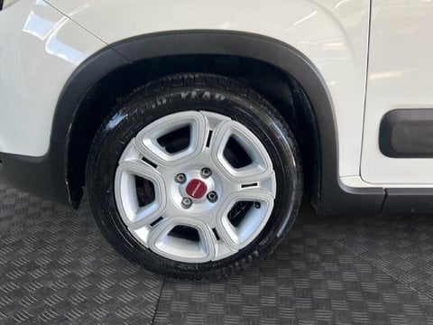 Auto Usate A Roma | Fiat Panda Iii 2021 1.0 Firefly Hybrid S&S 70Cv 5P.ti