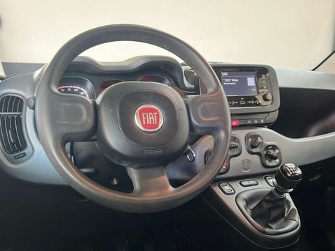 Auto Usate A Roma | Fiat Panda Iii 2021 1.0 Firefly Hybrid S&S 70Cv 5P.ti