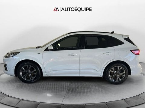 Auto Usate A Roma | Ford Kuga Iii 2020 1.5 Ecoblue St-Line 2Wd 120Cv