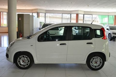 Auto Usate A Cagliari | Fiat Panda 1.0 70Cv Hybrid