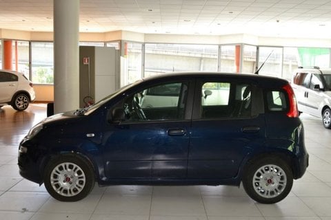 Auto Usate A Cagliari | Fiat Panda 1.0 70Cv Hybrid