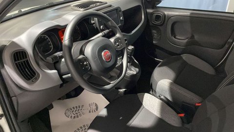 Auto Fiat Panda 1.0 Firefly S&S Hybrid City Life Usate A Bergamo