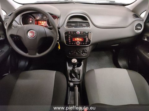 Auto Fiat Punto Punto 1.2 8V 5 Porte Street Usate A Teramo