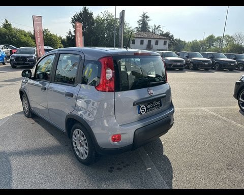 Auto Fiat Panda 3ª Serie 1.0 Firefly S&S Hybrid Usate A Treviso