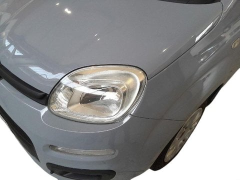 Auto Usate A Brescia | Fiat Panda 1.2 Easy Easypower Gpl 69Cv