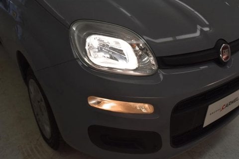 Auto Usate A Brescia | Fiat Panda 1.2 Easy S&S 69Cv My19