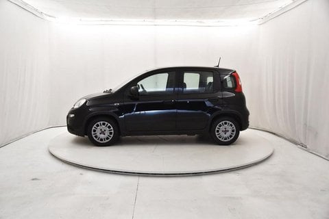 Auto Usate A Brescia | Fiat Panda 1.0 Firefly Hybrid S&S 70Cv 5P.ti