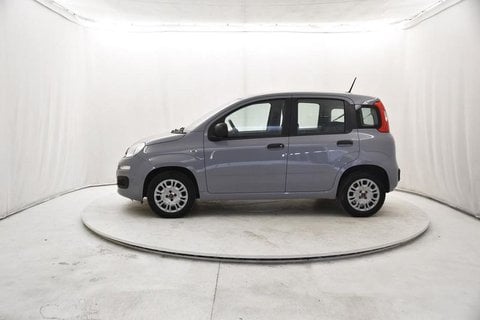 Auto Usate A Brescia | Fiat Panda 1.2 Easy S&S 69Cv My19