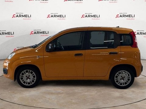 Auto Usate A Brescia | Fiat Panda 1.0 Hybrid Easy S&S 70Cv