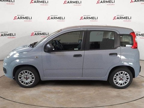 Auto Usate A Brescia | Fiat Panda 1.2 Easy Easypower Gpl 69Cv