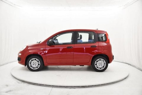 Auto Usate A Brescia | Fiat Panda 1.0 Firefly Hybrid S&S 70Cv 5P.ti