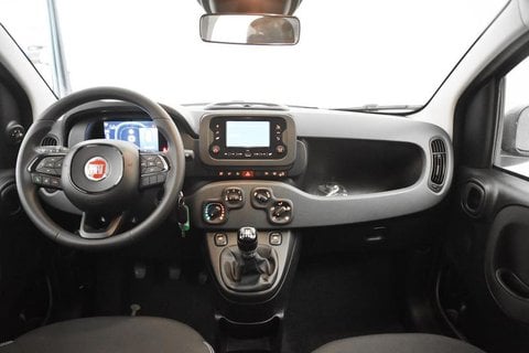 Auto Usate A Brescia | Fiat Panda 1.0 Firefly Hybrid S&S 70Cv 5P.ti