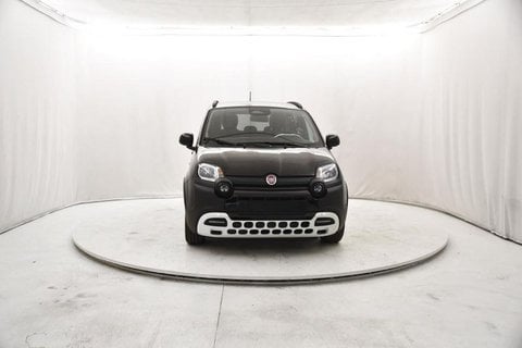 Auto Usate A Brescia | Fiat Panda Iii 2024 Cross Cross 1.0 Firefly Hybrid S&S 65Cv