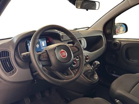 Auto Usate A Brescia | Fiat Pandina 1.0 Firefly Hybrid Pop S&S 70Cv