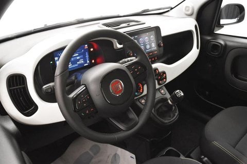 Auto Usate A Brescia | Fiat Pandina Panda Cross 1.0 Firefly Hybrid S&S 70Cv