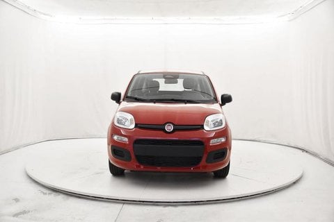 Auto Usate A Brescia | Fiat Panda 1.0 Firefly Hybrid S&S 70Cv 5P.ti