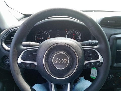 Auto Usate A Brescia | Jeep Renegade 1.6 Mjt Limited 2Wd 130Cv