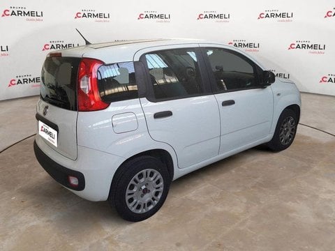 Auto Usate A Brescia | Fiat Panda 1.2 Easy S&S 69Cv My19 -Autocarro-Iva Esclusa