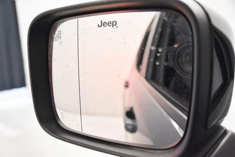 Auto Usate A Brescia | Jeep Renegade 1.6 Mjt Limited 2Wd 130Cv