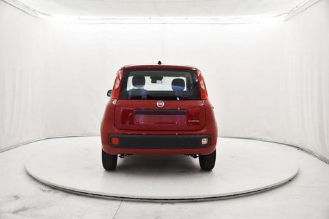 Auto Usate A Bergamo | Fiat Panda 1.0 Firefly Hybrid S&S 70Cv 5P.ti