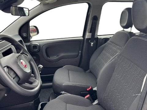 Auto Usate A Brescia | Fiat Pandina 1.0 Firefly Hybrid Pop S&S 70Cv