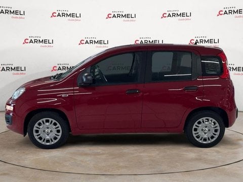 Auto Usate A Brescia | Fiat Pandina 1.0 Firefly Hybrid Pop S&S 70Cv