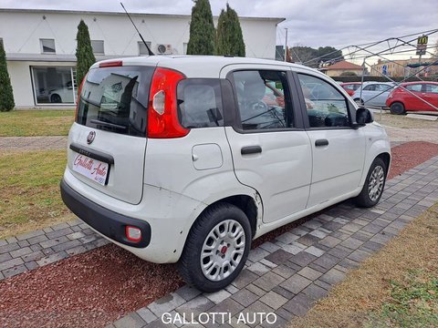 Auto Fiat Panda 1.2 Easy Usate A Varese