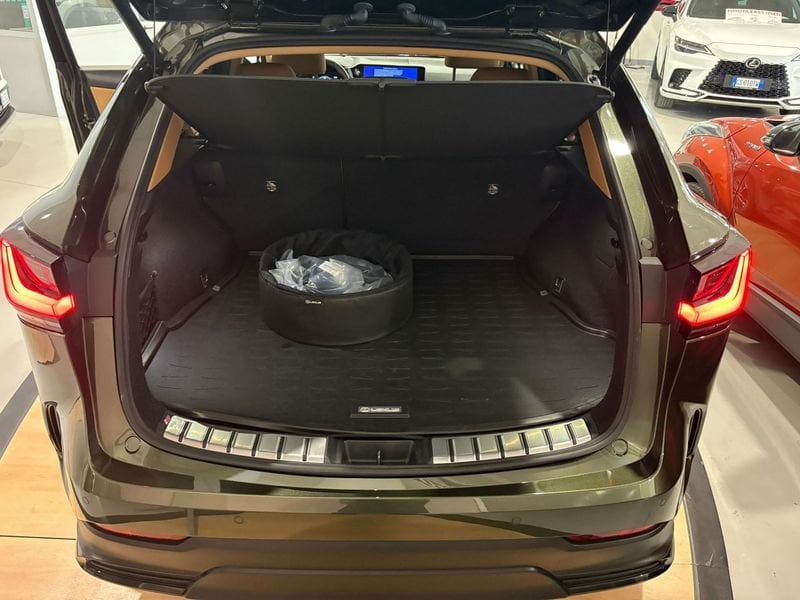 Lexus NX Hybrid Luxury 4WD usato a Torino