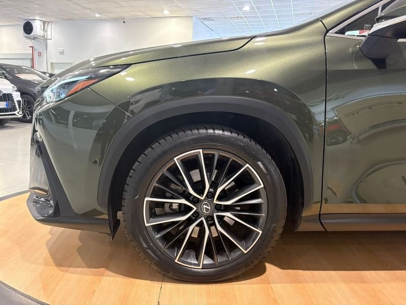 Lexus NX Hybrid Luxury 4WD usato a Torino