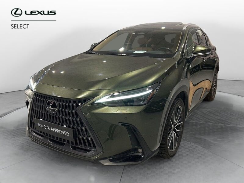 Lexus NX Plug-in 4WD Luxury  usato a Torino
